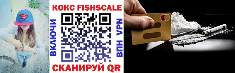 где купить наркоту  Вельск  КОКАИН FishScale 